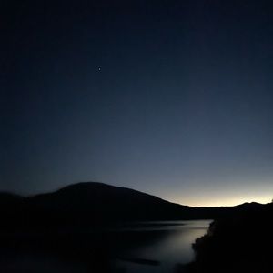 Meet your Posher, Zoey